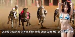 cá cược đua chó 78win soccer