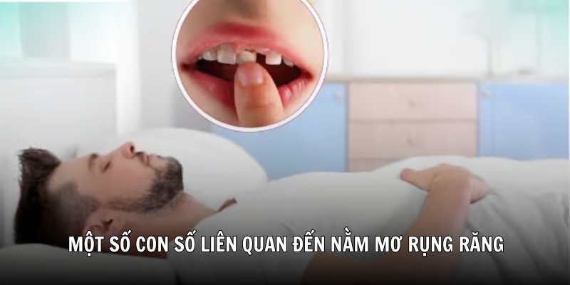 Một số con số liên quan đến nằm mơ rụng răng